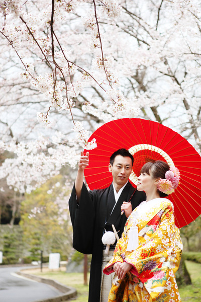 【春のご予約受付中】京都で桜前撮り