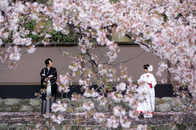 [人気]桜シーズンのフォトウエディング
