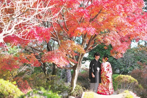 [人気]紅葉シーズンの結婚前撮りのご予約はお早めに