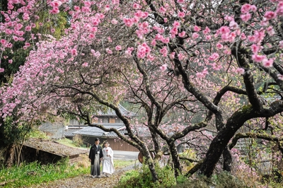 京都ブライダルフォトワークスがお教えする京都での前撮りの魅力について